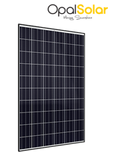 Solar Juice Black Opal